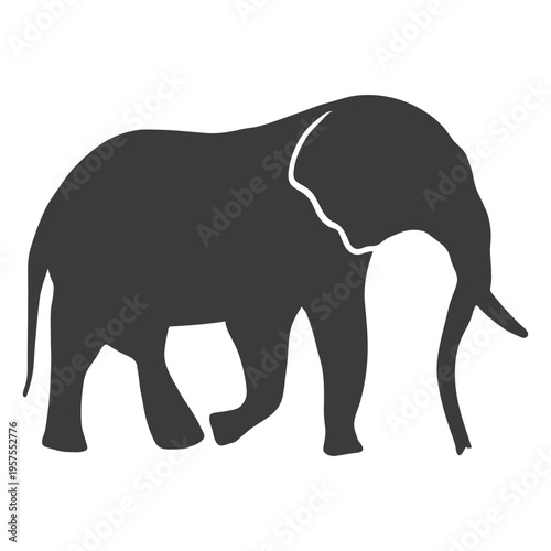 Elephant ear ivory trunk tail silhouette