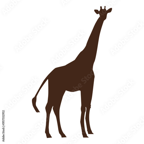 Giraffe tall neck long ossicones tail silhouette