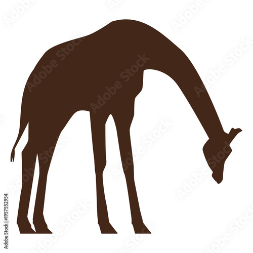 Giraffe tall neck long ossicones silhouette