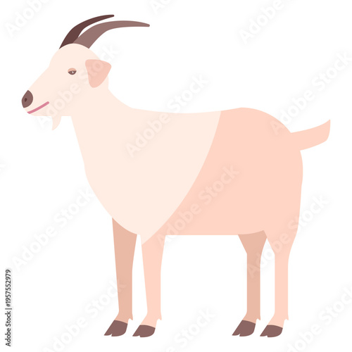 Goat hoof horn tail flat animal