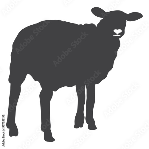 Sheep lamb wool hoof silhouette