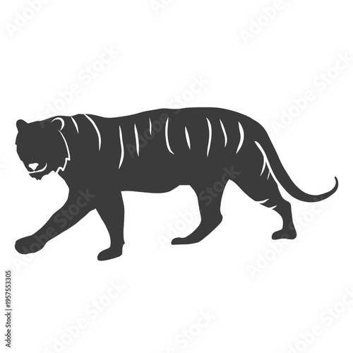 Tiger stripe tail silhouette