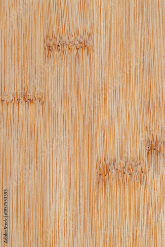 Close-up bamboo wood texture with vertical grain and natural nodes for backgr...