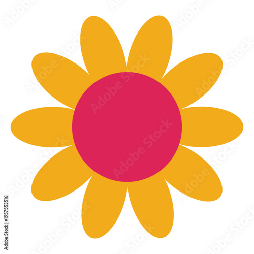 Camomile flower sunflower petal aster flat