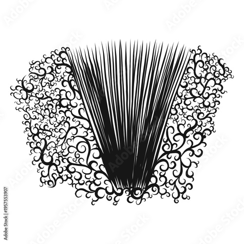 Accordion musical instrument swirl