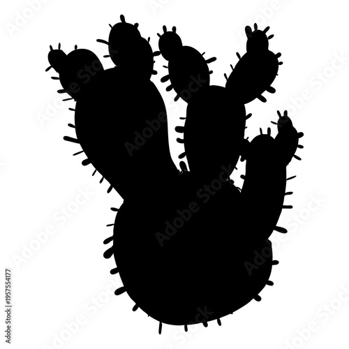 Desert cactus silhouette