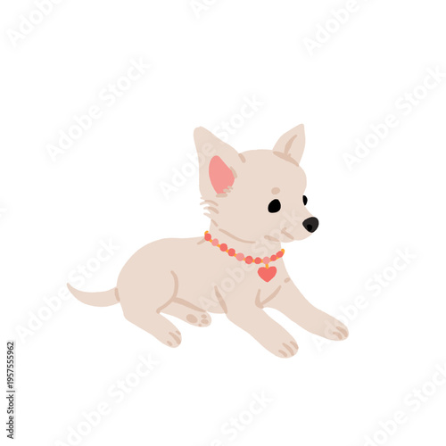 Cute small dog breeds clipart set with funny poses, adorable puppies in sweaters and clothes, playful vector illustrations with woof and good boi text, toy dog sticker collection