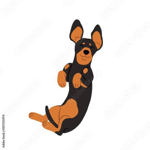 Cute small dog breeds clipart set with funny poses, adorable puppies in sweaters and clothes, playful vector illustrations with woof and good boi text, toy dog sticker collection