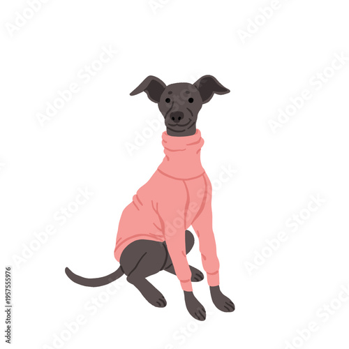 Cute small dog breeds clipart set with funny poses, adorable puppies in sweaters and clothes, playful vector illustrations with woof and good boi text, toy dog sticker collection