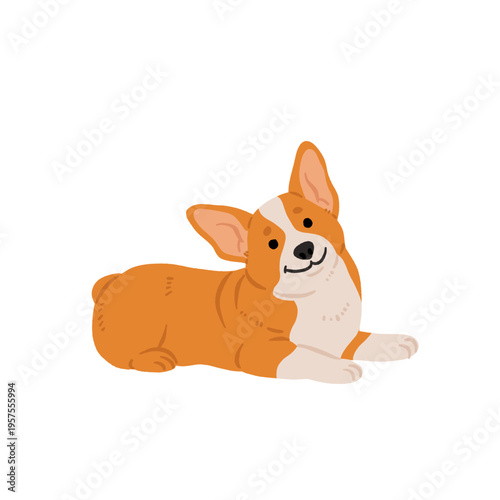 Cute small dog breeds clipart set with funny poses, adorable puppies in sweaters and clothes, playful vector illustrations with woof and good boi text, toy dog sticker collection