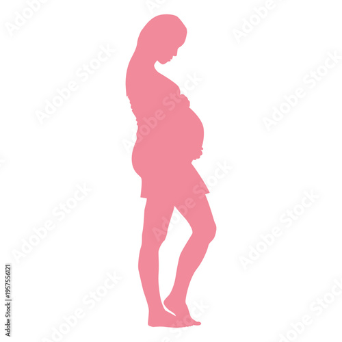 Woman belly pregnancy silhouette