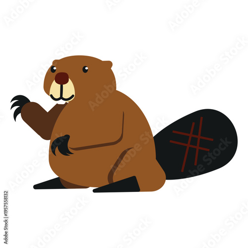 Beaver claw tail fat rodent rounded flat