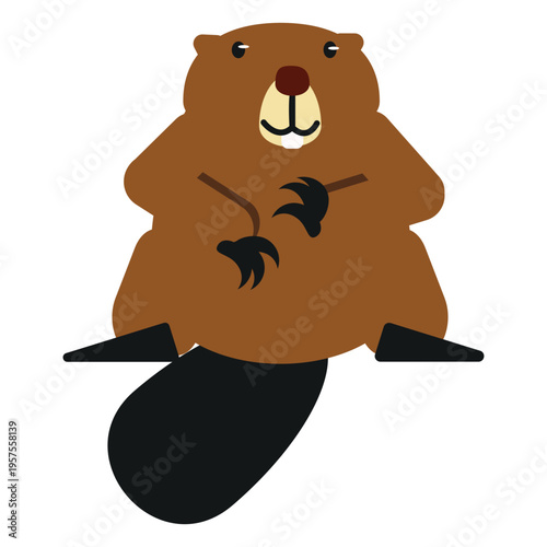 Beaver tail fat rodent claw rounded flat