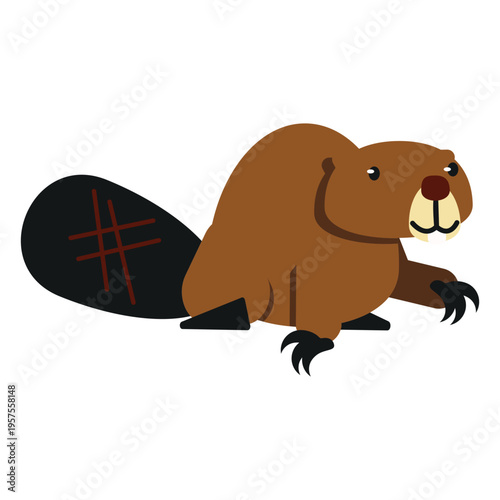 Beaver fat tail rodent claw rounded flat