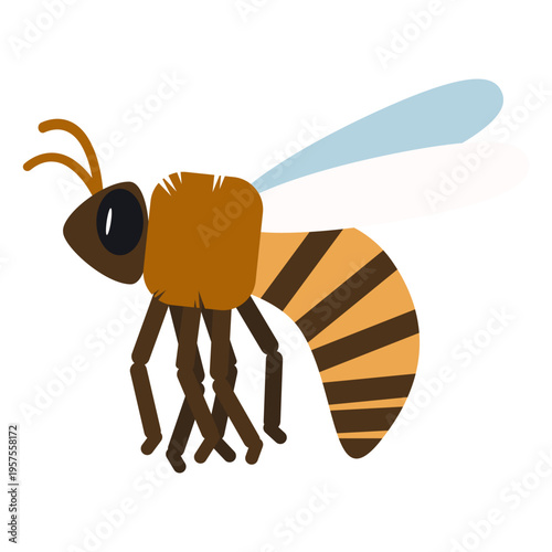 Bee stripe wing wasp rounded flat