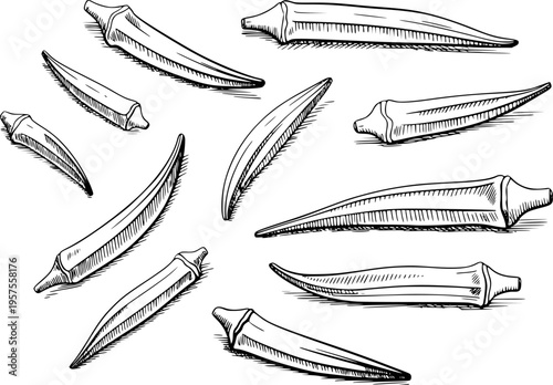 Hand Drawn Okra Pods Scattered White Background Style vegetable food
