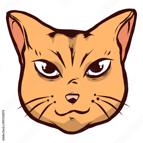 Cat muzzle attentive whisker ear illustration