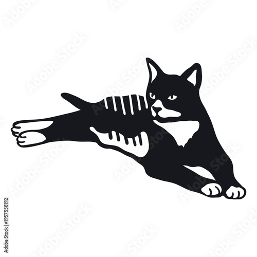 Cat muzzle stripe tail fur doodle