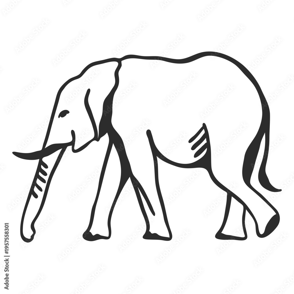 Fototapeta premium Elephant ivory ear trunk tail flat doodle