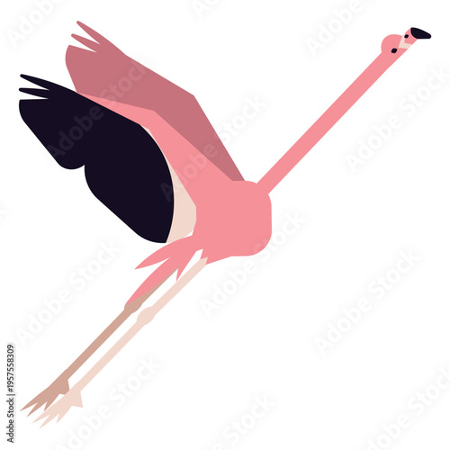Flamingo leg beak pink fly rounded flat