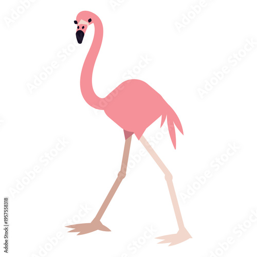 Flamingo beak leg pink rounded flat