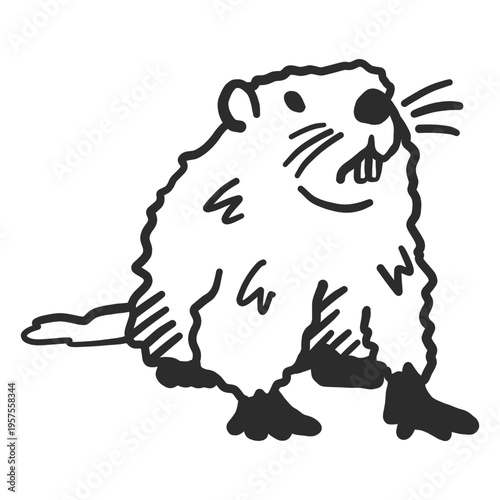 Ground hog marmot muzzle fur tooth doodle