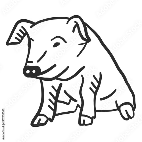 Pig ear snout hoof doodle