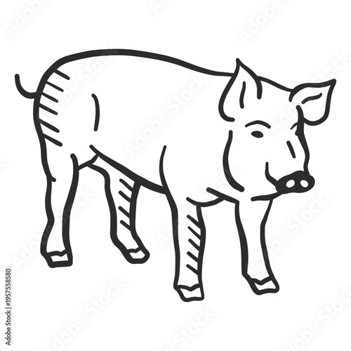 Pig snout hoof ear doodle