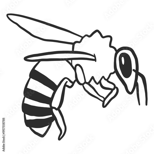 Bee wing wasp stripe doodle