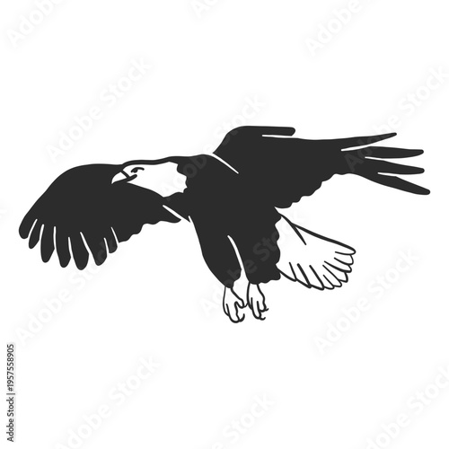 Eagle wing flying beak talon doodle