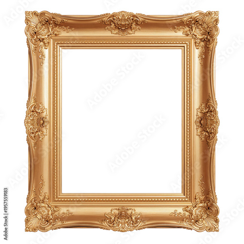 Elegant Ornate Picture Frame With a Blank Center for Artwork Display or Decor...
