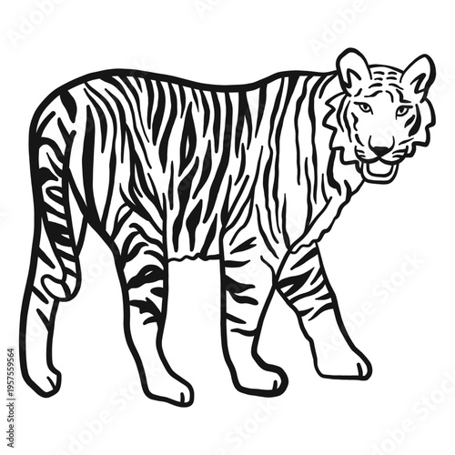 Tiger muzzle stripe ear tail doodle