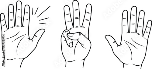 Illustration of hand positions and finger configurations