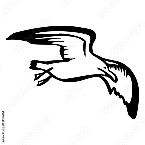 Seagull animal stroke