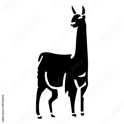 Silhouette llama animal llama