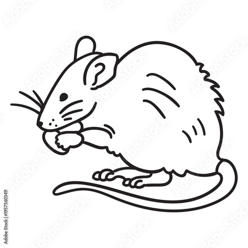 Stroke mouse eating