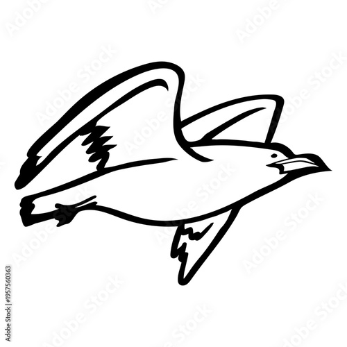 Stroke seagull flying