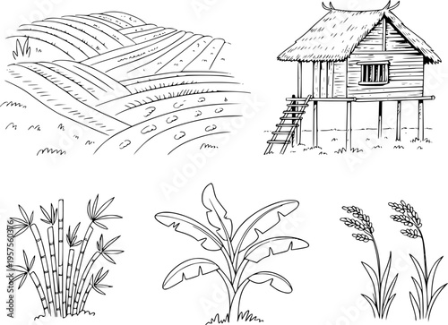 Rural Southeast Asian landscape with stilt house rice paddies bamboo and banana plants