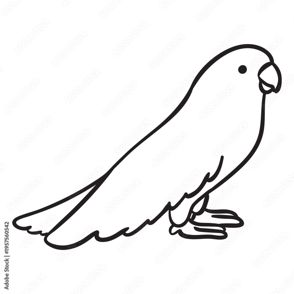 Fototapeta premium Cute parrot standing profile outline