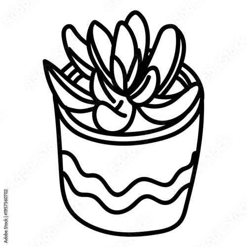Colorless succulent illustration