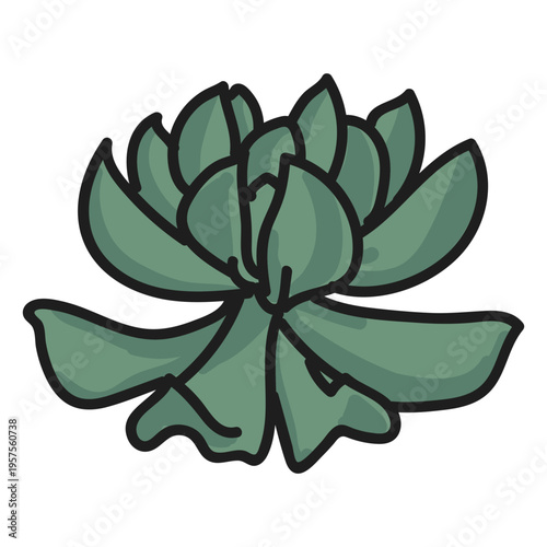 Plant doodle illustration succulent