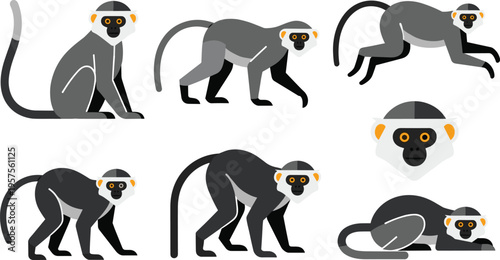 Flat Monkey Character Pose Set Featuring Different Sitting Walking Jumping and Resting Positions with Isolated Animal Illustrations for Wildlife Design