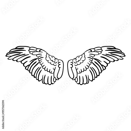 Angel bird wings spread outline