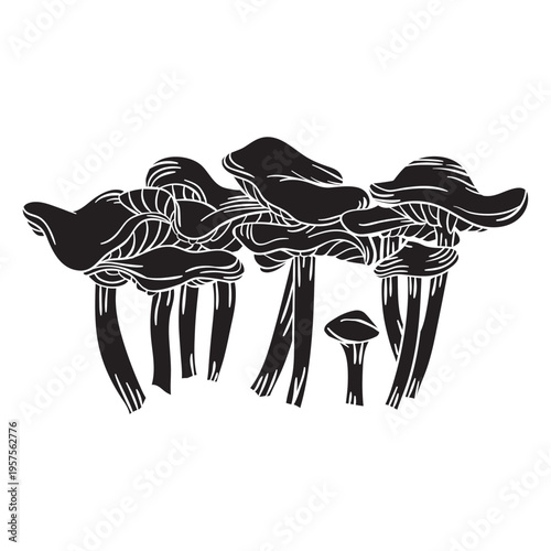 Hand drawn chanterelle mushroom cut out