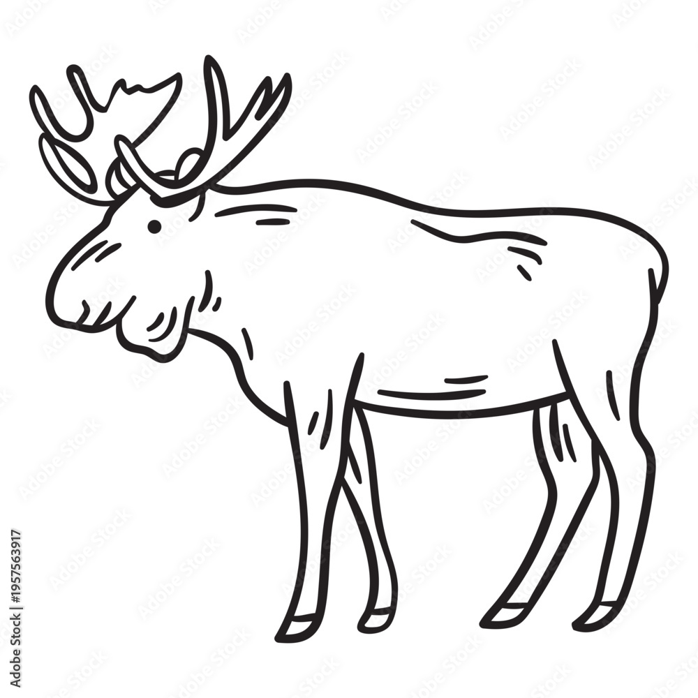 Fototapeta premium Moose elk animal stroke