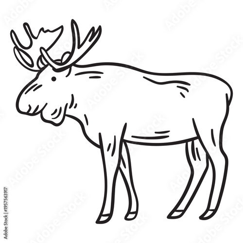 Moose elk animal stroke