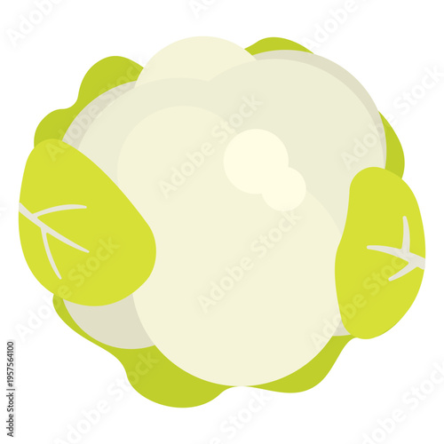 Cauliflower vegetable flat