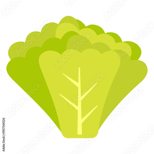 Radish greens vegetable flat