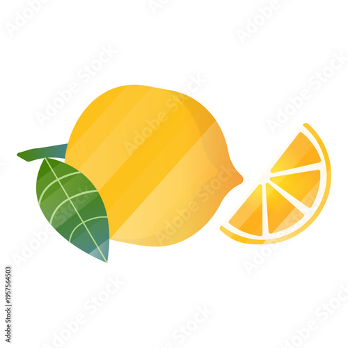 Lemon slice illustration