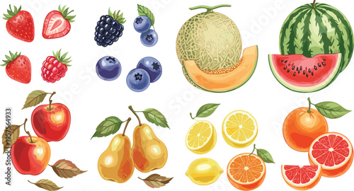 Fresh Fruit Illustration Collection Featuring Strawberries, Blueberries, Watermelon, Pears, Oranges, and Melon in Vibrant Summer Style
